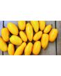 Tomato 'Golden Roma' Seeds (Certified Organic)