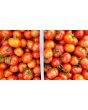 Tomato 'Santorini' 
