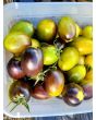 Tomato 'Atomic Fusion' 