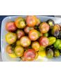 Tomato 'Black Zebra'