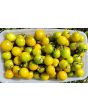 Tomato 'Small Green Cherry' 