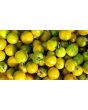 Tomato 'Small Green Cherry' 