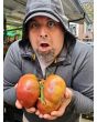 Tomato 'Indian Stripe' 
