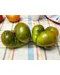 Tomato 'Moldovan Green' 