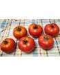 Tomato 'Wisconsin 55' Seeds (Certified Organic)