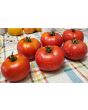 Tomato 'Wisconsin 55' Seeds (Certified Organic)