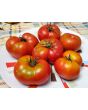 Tomato 'Trophy' Seeds (Certified Organic)