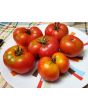 Tomato 'Trophy' Seeds (Certified Organic)