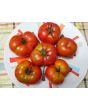 Tomato 'Trophy' Seeds (Certified Organic)