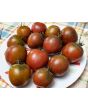 Tomato 'Tamara's Sweet Brown' Seeds (Certified Organic)