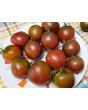 Tomato 'Tamara's Sweet Brown' Seeds (Certified Organic)