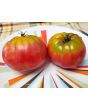 Tomato 'Tamara's San Marzano Pink Ruffled Strain' Seeds (Certified Organic)