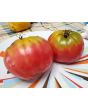 Tomato 'Tamara's San Marzano Pink Ruffled Strain' Seeds (Certified Organic)