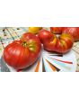 Tomato 'Cuore de Toro Beefsteak Cross' AKA 'Bull's Heart' Seeds (Certified Organic)