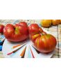 Tomato 'Cuore de Toro Beefsteak Cross' AKA 'Bull's Heart' Seeds (Certified Organic)