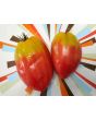 Tomato 'Tamara's San Marzano Pink Strain' Seeds (Certified Organic)