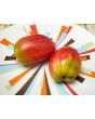 Tomato 'Tamara's San Marzano Pink Strain' Seeds (Certified Organic)