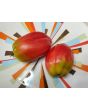 Tomato 'Tamara's San Marzano Pink Strain' Seeds (Certified Organic)