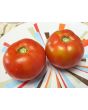 Tomato 'Earliana' Seeds (Certified Organic)