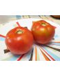 Tomato 'Earliana' Seeds (Certified Organic)