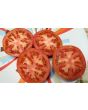 Tomato 'Earliana' Seeds (Certified Organic)