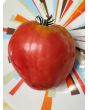Tomato 'Giant Oxheart' Seeds (Certified Organic)