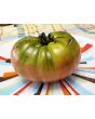 Tomato 'Amazon Chocolate'