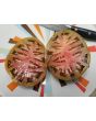 Tomato 'Amazon Chocolate'