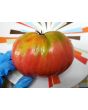 Tomato 'Tamara's San Marzano Pink Ruffled Strain' Seeds (Certified Organic)