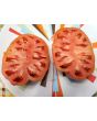 Tomato 'Tamara's San Marzano Pink Ruffled Strain' Seeds (Certified Organic)