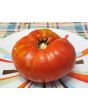 Tomato 'Red Brandywine, Potato Leaf' 
