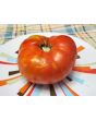Tomato 'Red Brandywine, Potato Leaf' 