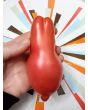 Tomato 'Pink Fang' Seeds (Certified Organic)