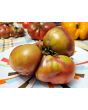 Tomato 'Brad's Black Heart Beefsteak Cross' Seeds (Certified Organic)
