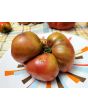 Tomato 'Brad's Black Heart Beefsteak Cross' Seeds (Certified Organic)