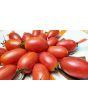 Tomato 'Maglia Rosa' 