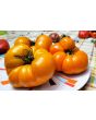 Tomato 'Yellow Brandywine'