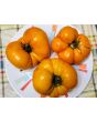 Tomato 'Yellow Brandywine'