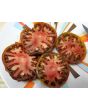 Tomato 'Landreth's Surprise' Seeds (Certified Organic)