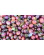 Tomato 'Indigo Blue Berries'