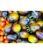 Tomato 'Brad's Atomic Grape'