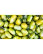 Tomato 'Green Plum' AKA 'Prune Verte' Seeds (Certified Organic)