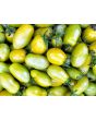 Tomato 'Green Plum' AKA 'Prune Verte' Seeds (Certified Organic)