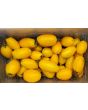 Tomato 'Golden Roma' Seeds (Certified Organic)