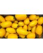 Tomato 'Golden Roma' Seeds (Certified Organic)