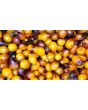 Tomato 'Indigo Pear Drops' Seeds (Certified Organic)