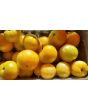 Tomato 'White Zebra' AKA 'Blonde Boar' Seeds (Certified Organic)