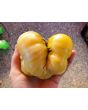 Tomato 'White Tomesol'