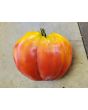 Tomato 'Tamara's San Marzano Pink Ruffled Strain' Seeds (Certified Organic)