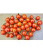 Tomato 'Koralik' 